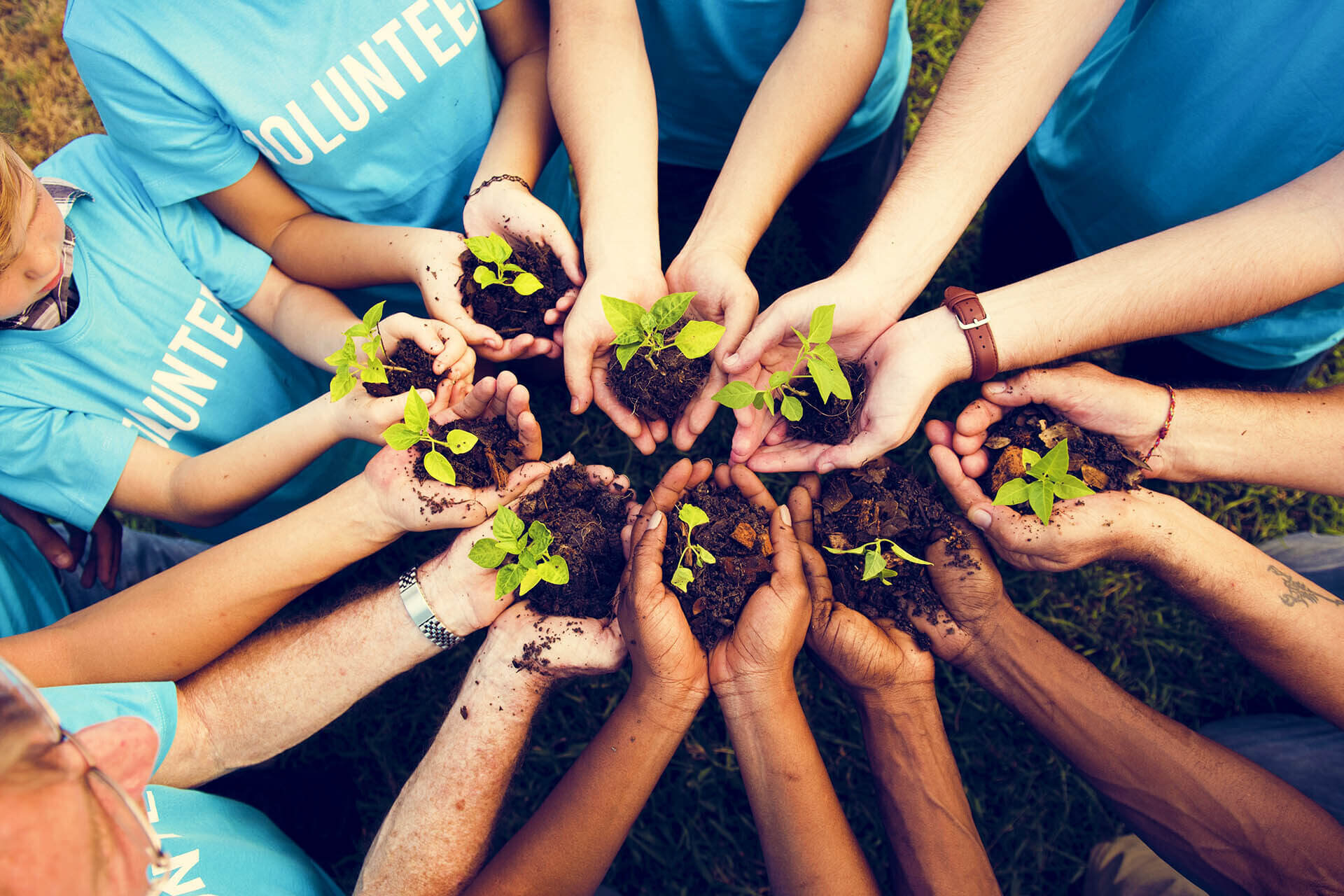 Make an Impact programme